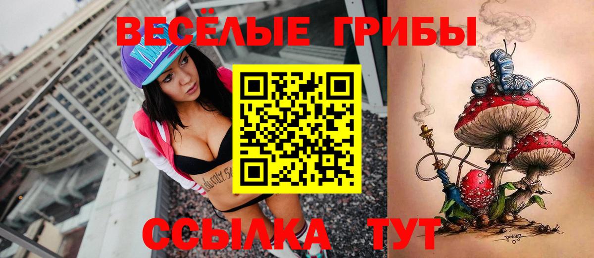Кировск  Псилоцибиновые грибы Magic Shrooms  Галлюциногенные грибы Magic Shrooms  Вход с VPN 