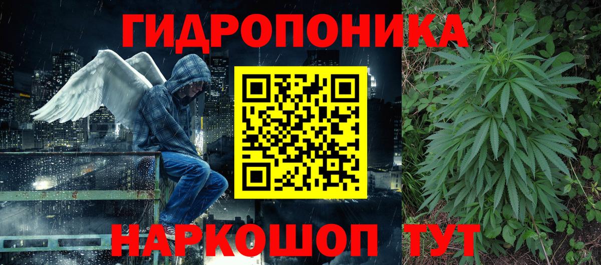 Канабис планчик Кировск
